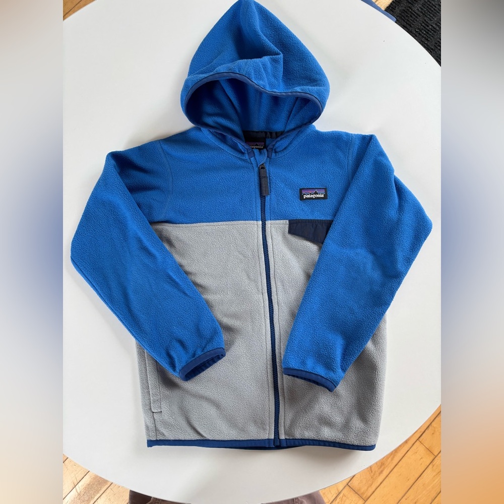 Patagonia Kids lightweight Synchilla Hoodie